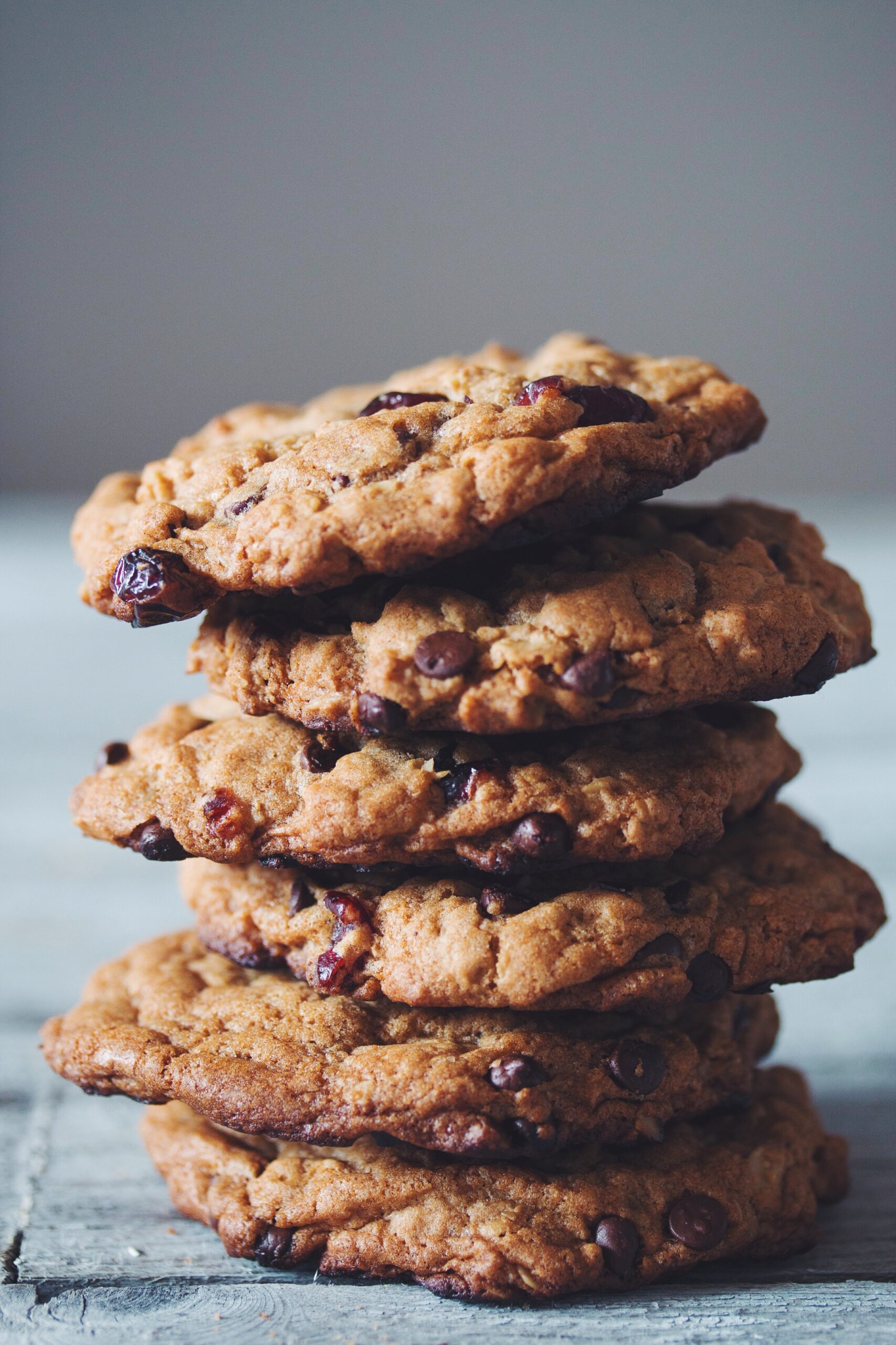chocolate chip cranberry oatmeal cookies_hot for food