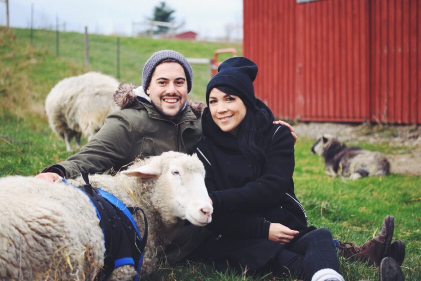 Farm Sanctuary_hot for food