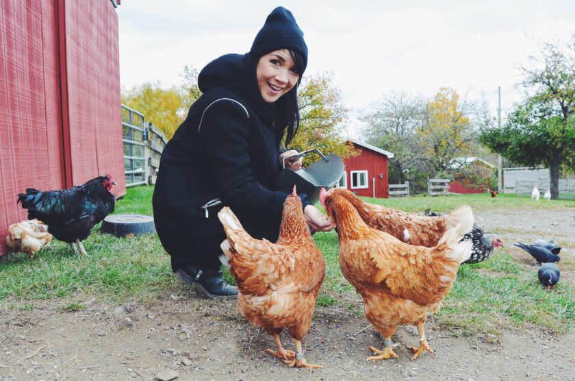 Farm Sanctuary_hot for food