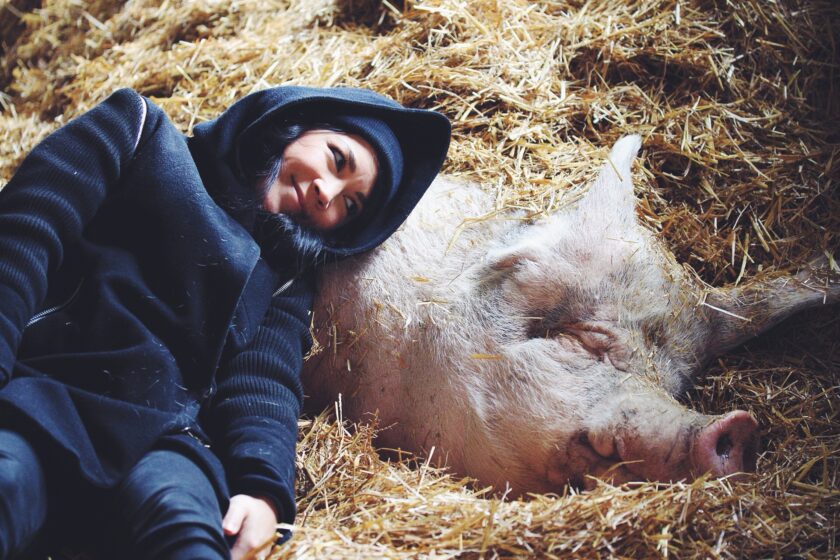 Farm Sanctuary_hot for food