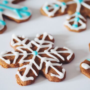 gingerbread snowflakes_hot for food
