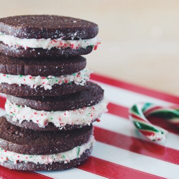 chocolate candy cane sandwich cookies_hot for food