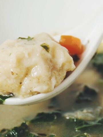 vegetable dumpling soup_hot for food
