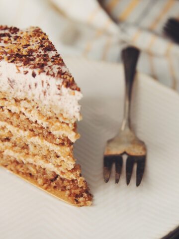 vegan hazelnut torte_hot for food