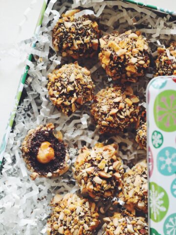 vegan hazelnut truffles_hot for food