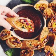 vegan ramen spring rolls_hot for food